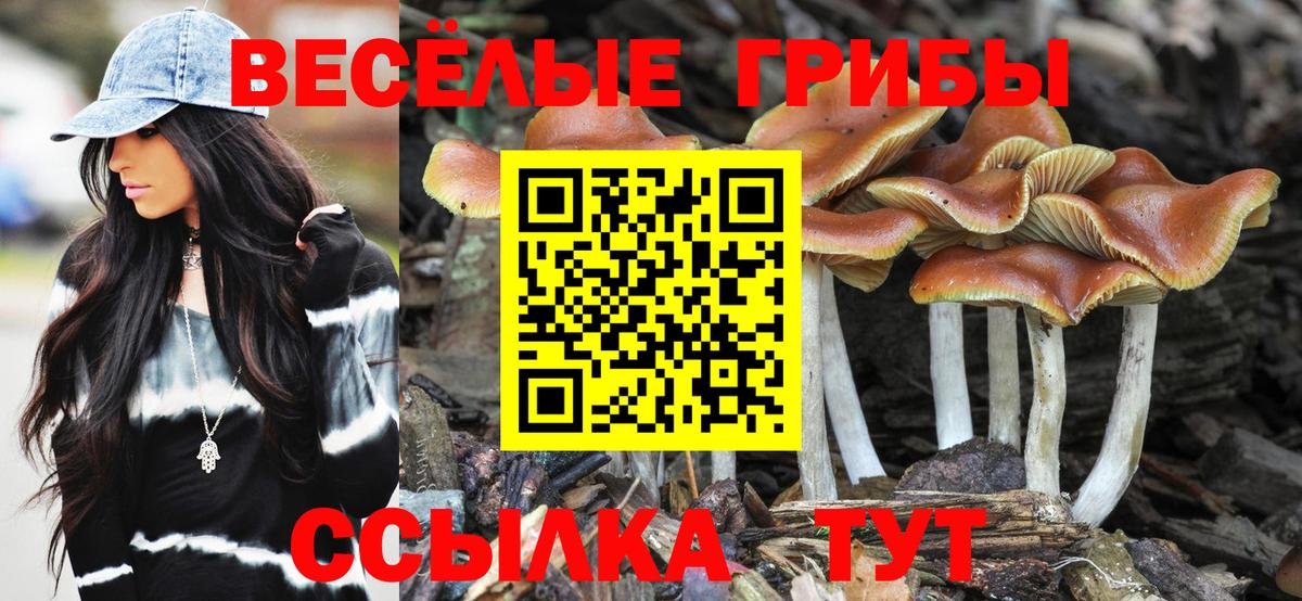 купить наркотик  Галлюциногенные грибы GOLDEN TEACHER  Вход с VPN  Москва 
