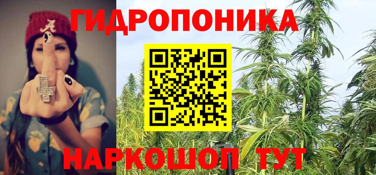 Конопля SATIVA & INDICA Москва